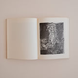 Picasso. Suite Vollard – Hans Bolliger