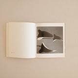 Serge Mouille: Luminaires (Le Regard d’Alan Editions, Paris, 1993)