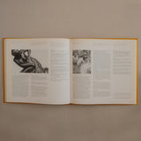 Guggenheim Museum Thannhauser Collection Catalogue, New York, 1991